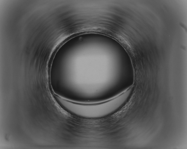 X0000091170792200709060933