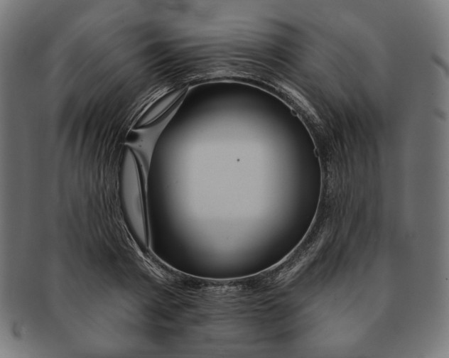 X0000091170793200709060933