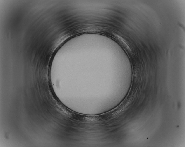 X0000091170794200709060933