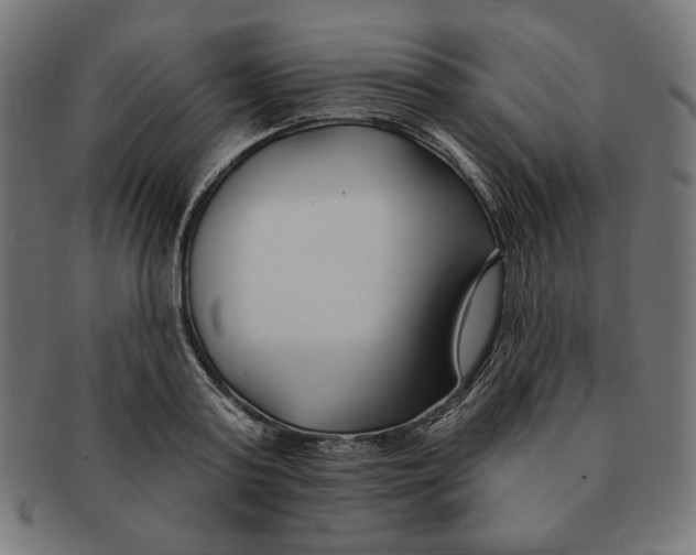 X0000091170795200709060933