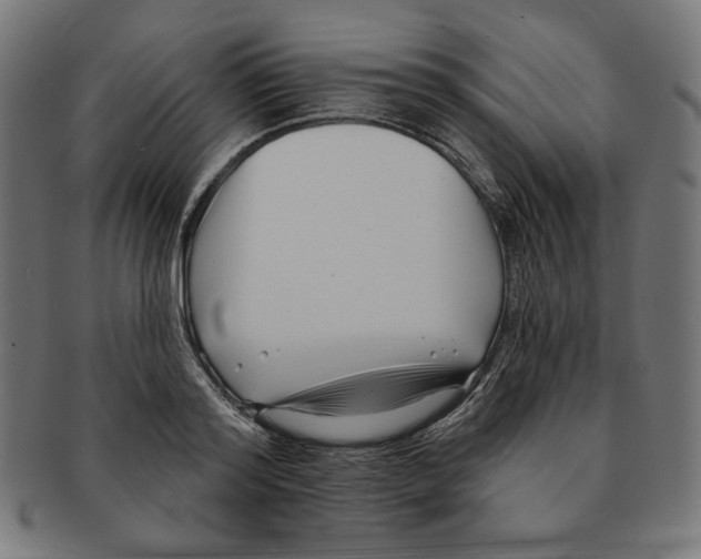 X0000091170796200709060933