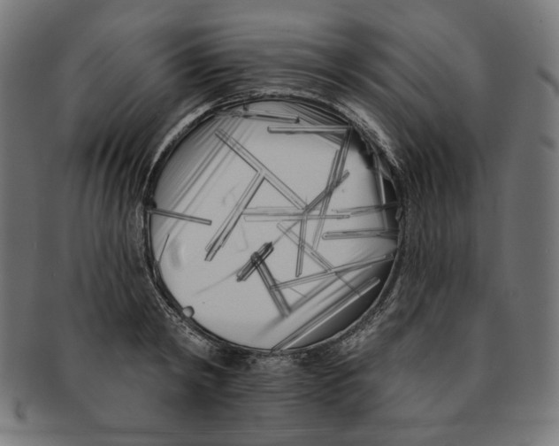 X0000091170798200709060932