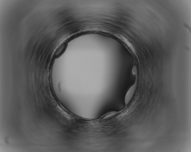 X0000091170799200709060932