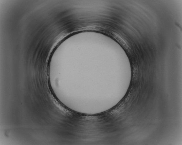 X0000091170800200709060932