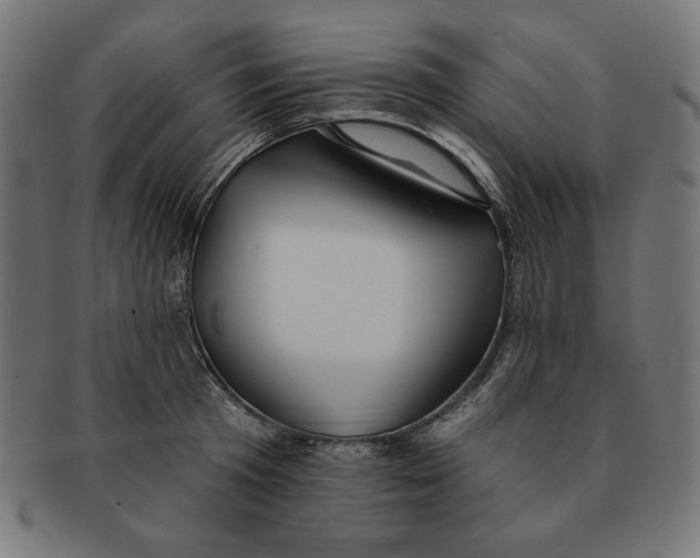 X0000091170801200709060932