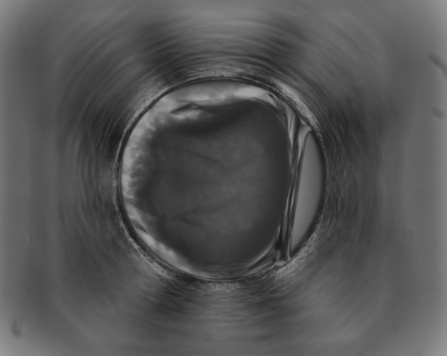 X0000091170802200709060932