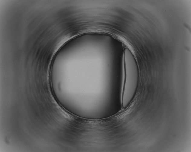 X0000091170803200709060932