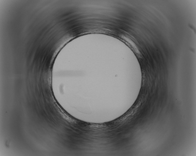 X0000091170804200709060932