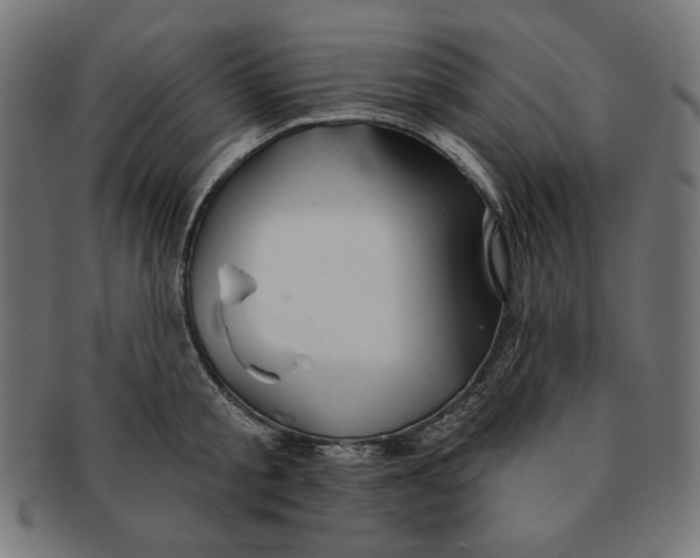 X0000091170805200709060932