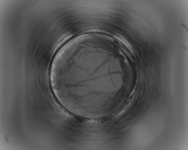 X0000091170806200709060932
