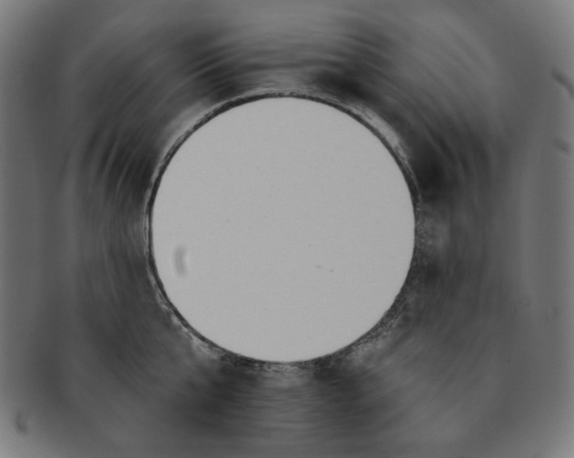 X0000091170807200709060932