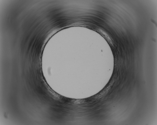 X0000091170808200709060932