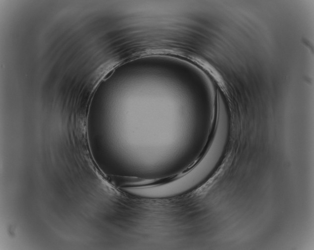 X0000091170809200709060932