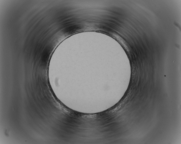 X0000091170810200709060932
