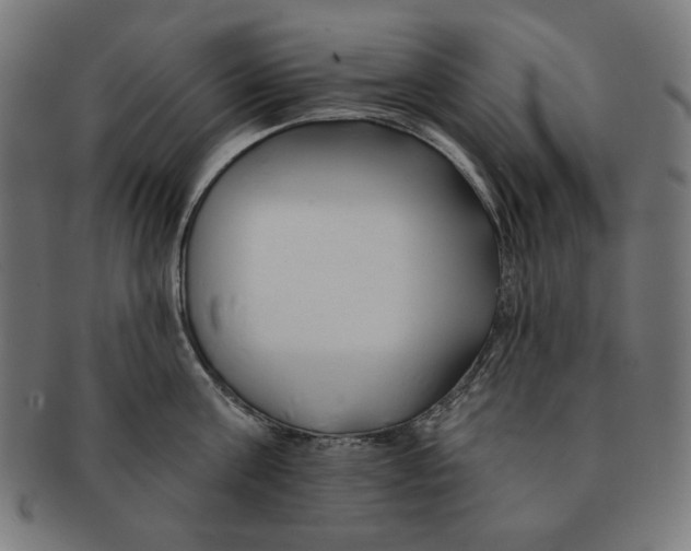 X0000091170811200709060932