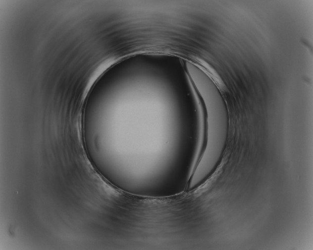 X0000091170812200709060932