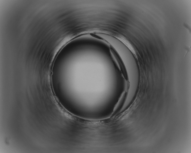 X0000091170813200709060932
