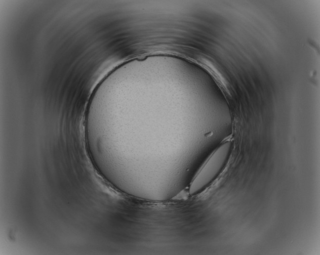 X0000091170814200709060932