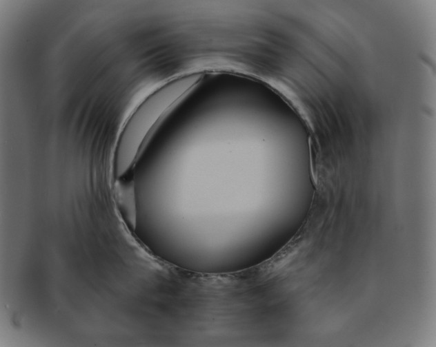X0000091170815200709060932