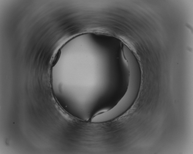 X0000091170816200709060932
