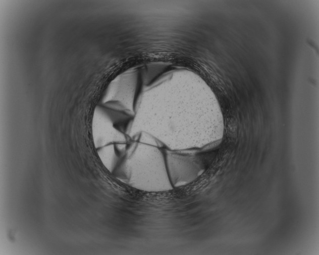 X0000091170817200709060932