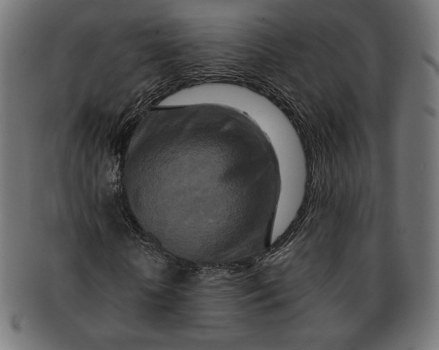 X0000091170818200709060932