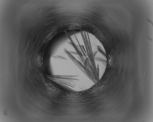 X0000091170819200709060932