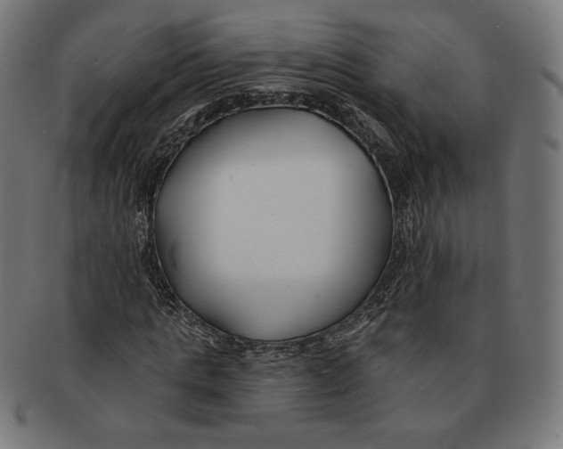 X0000091170821200709060932