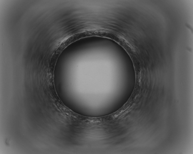 X0000091170822200709060932