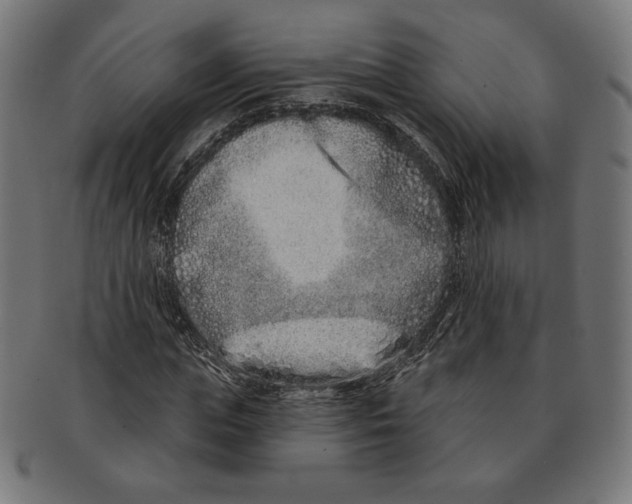 X0000091170823200709060932