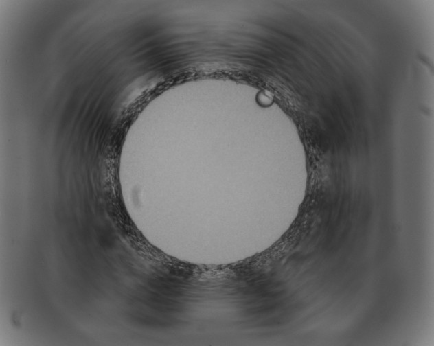 X0000091170824200709060932