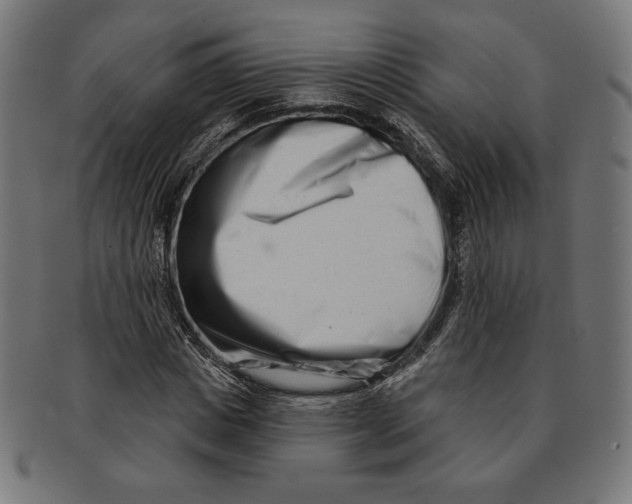 X0000091170825200709060932