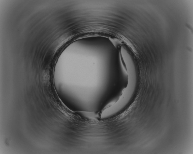 X0000091170826200709060932