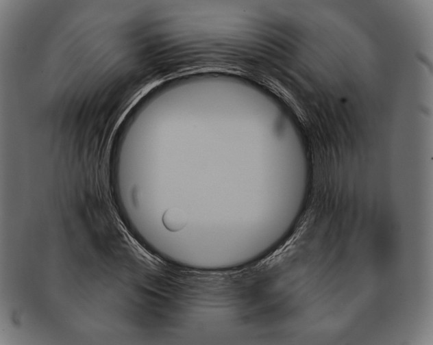 X0000091170828200709060932