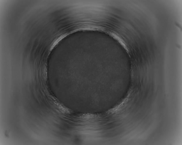 X0000091170829200709060932