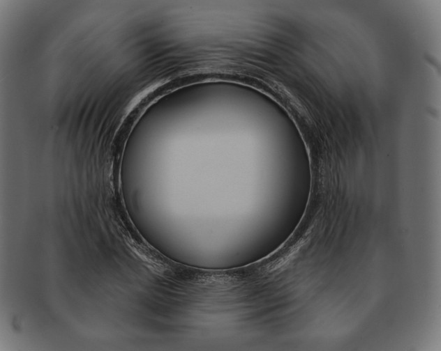 X0000091170830200709060932