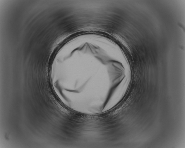 X0000091170831200709060932