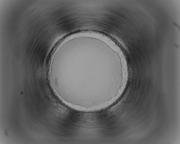 X0000091170832200709060932