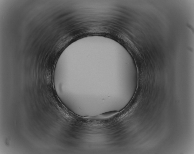 X0000091170833200709060932