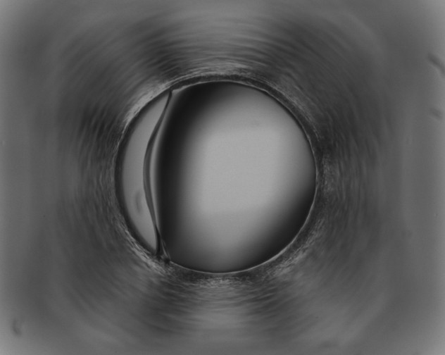 X0000091170834200709060932