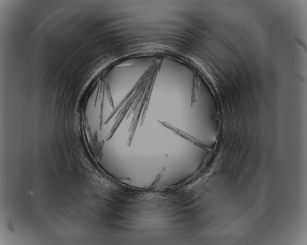 X0000091170835200709060932