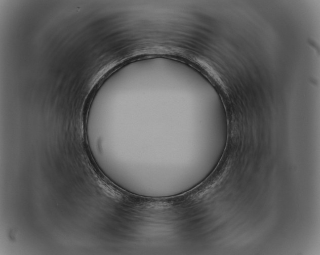 X0000091170837200709060932