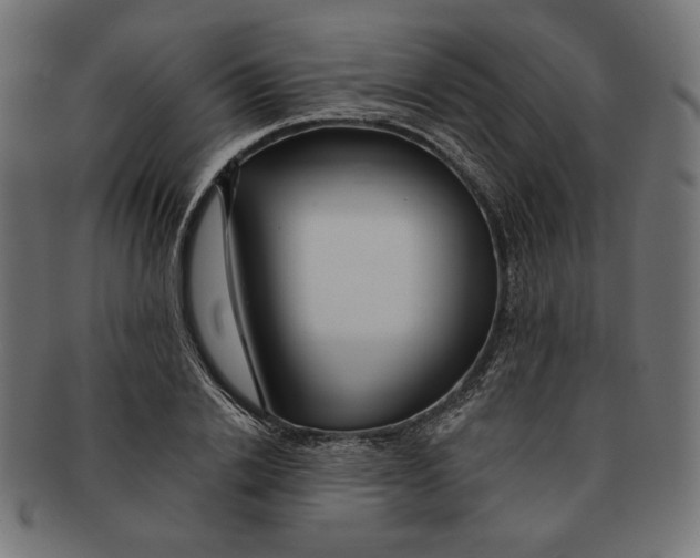 X0000091170838200709060932