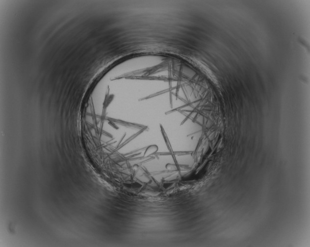 X0000091170839200709060932
