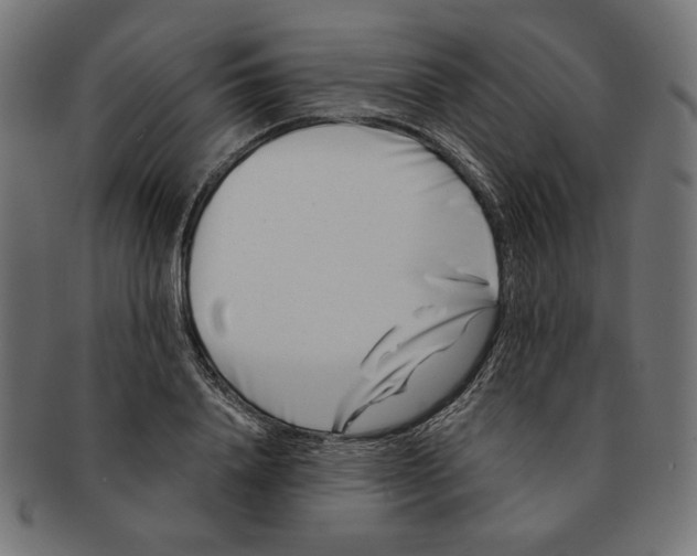 X0000091170840200709060932