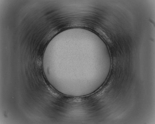 X0000091170841200709060932