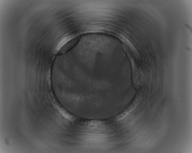 X0000091170842200709060932