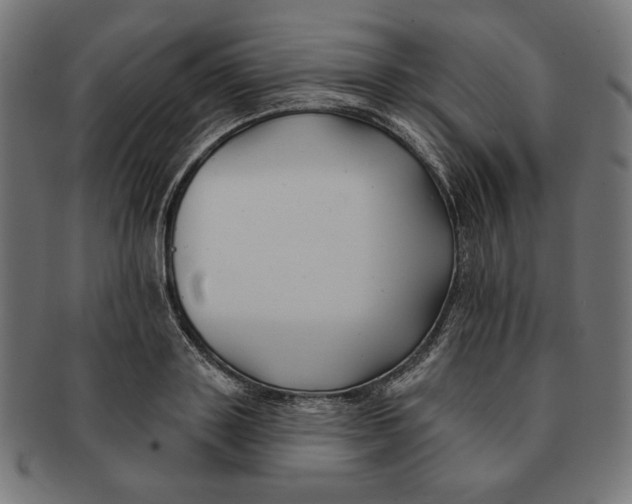 X0000091170843200709060932