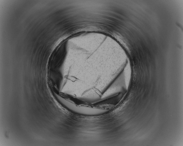 X0000091170845200709060932