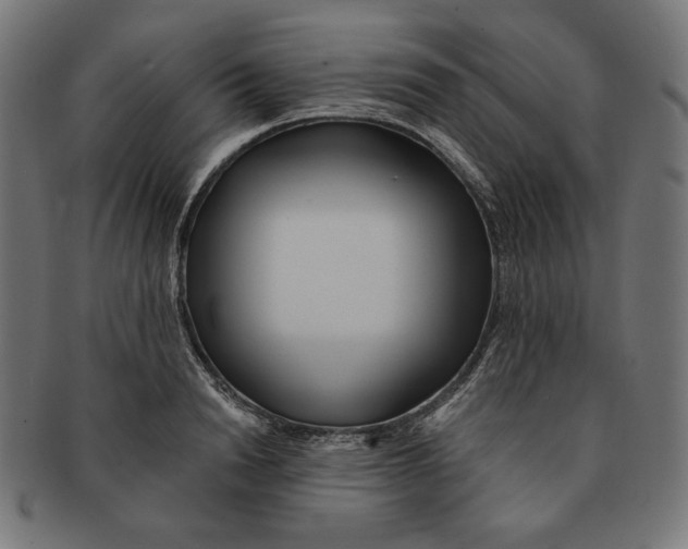 X0000091170846200709060932
